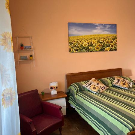 Vicino A Tutto Bed & Breakfast Vercelli Dış mekan fotoğraf